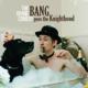 Bang Goes The Knighthood <span>(2010)</span> cover