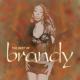 The Best Of Brandy <span>(2005)</span> cover