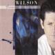 Brian Wilson <span>(1988)</span> cover