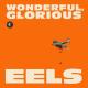 Wonderful, Glorious <span>(2013)</span> cover