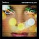 Stereodreamscene <span>(2000)</span> cover