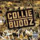 Collie Buddz <span>(2007)</span> cover