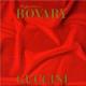 Signora Bovary <span>(1987)</span> cover