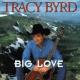 Big Love <span>(1996)</span> cover