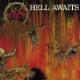 Hell Awaits <span>(1985)</span> cover