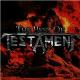 The Best Of Testament <span>(1996)</span> cover
