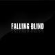 Falling Blind <span>(2008)</span> cover