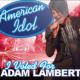 American Idol <span>(2009)</span> cover