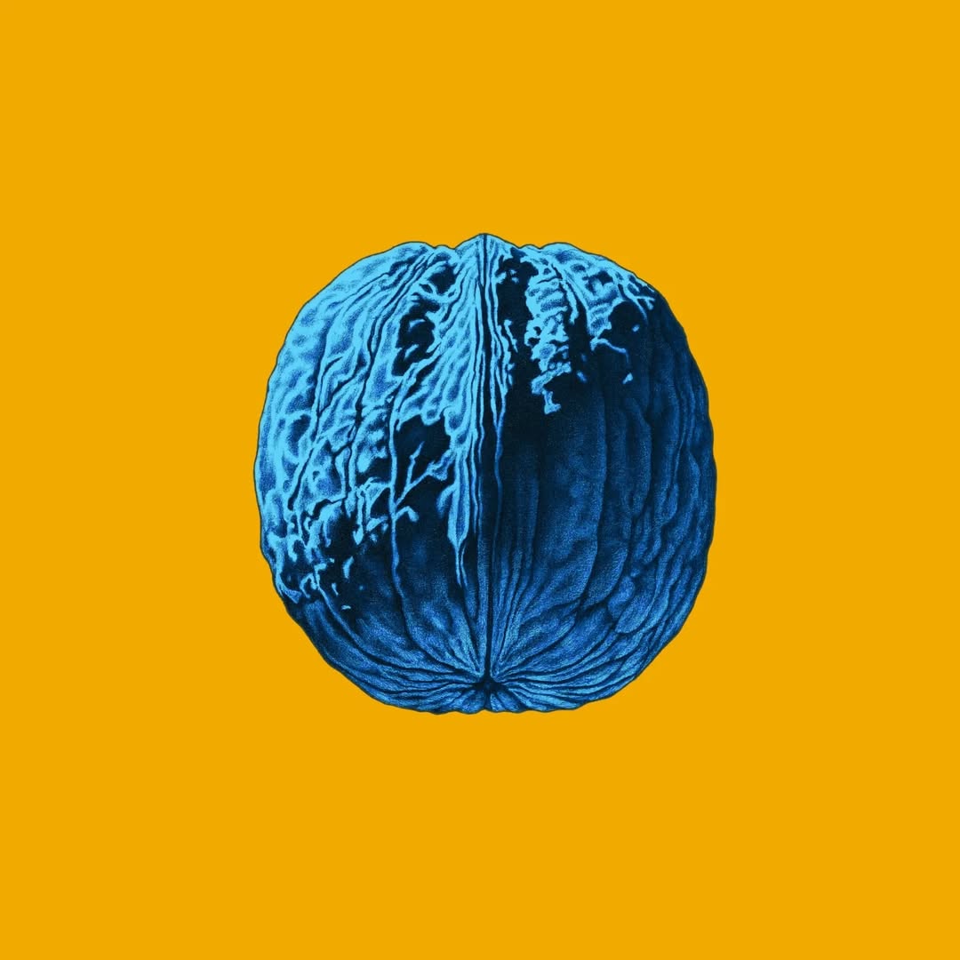 cover L'Albero Delle Noci