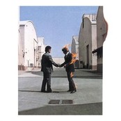 cover Wish You Were Here