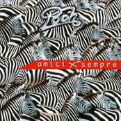 C'è Bisogno Di Un Piccolo Aiuto Testo Pooh