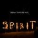 Spirit <span>(2010)</span> cover