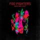 Wasting Light <span>(2011)</span> cover