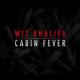 Cabin Fever - Mixtape <span>(2011)</span> cover