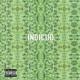 Indicud <span>(2013)</span> cover