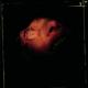 Anatomy Is Destiny <span>(2003)</span> cover