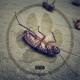 Altre canzoni cover