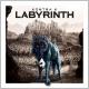 Labyrinth <span>(2016)</span> cover
