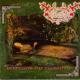 Depressiva Vox Clamantis <span>(1998)</span> cover