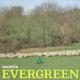 Evergreen <span>(2018)</span> cover