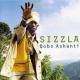 Bobo Ashanti <span>(2000)</span> cover