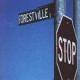 924 Forestville St. <span>(1994)</span> cover