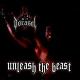 Unleash The Beast <span>(2001)</span> cover