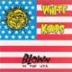 Blown In The U.S.A. <span>(1991)</span> cover