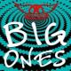 Big Ones <span>(1994)</span> cover