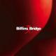 Biffin's Bridge <span>(2007)</span> cover