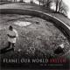 Our World: Fallen <span>(2007)</span> cover