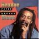 Reggae In Blues <span>(1993)</span> cover