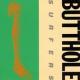 Rembrandt Pussyhorse <span>(1986)</span> cover