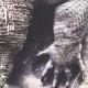 Toxic Voodoo <span>(1994)</span> cover