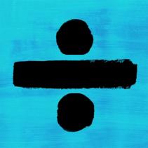 Perfect cover