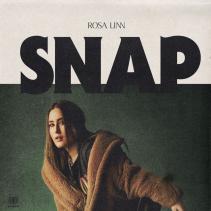 Snap cover
